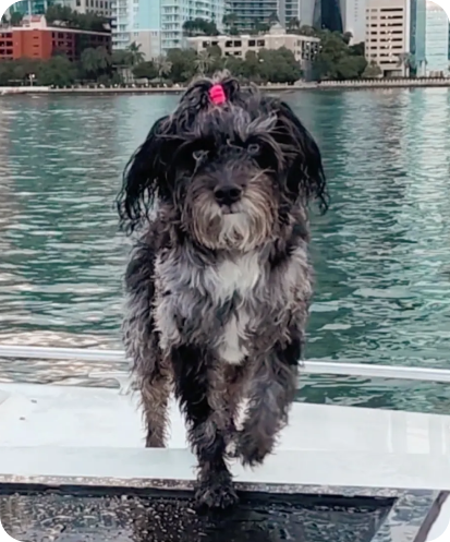 Bleu First Mate